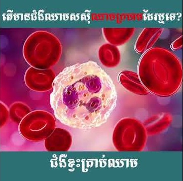 What are blood cells and their functions?